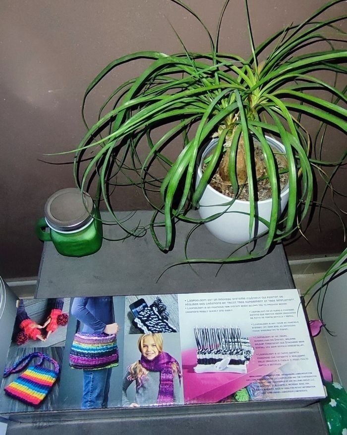 Loopdeloom métier à tisser rotatif - photo numéro 2