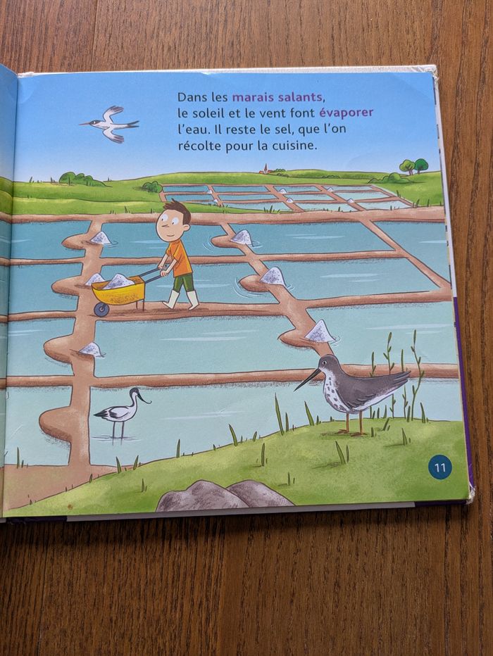 Ptits docs la mer - photo numéro 3