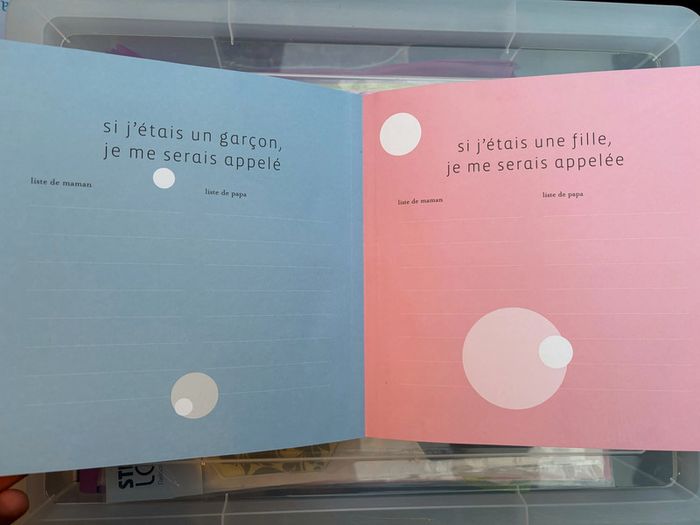 L'Album de Bébé "Edition Flammarion" - photo numéro 3