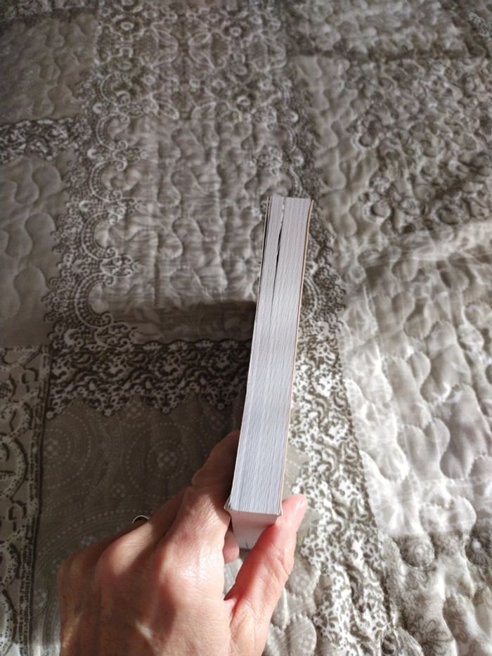 Les Triades de Shanghai de Bi Feiyu - photo numéro 5