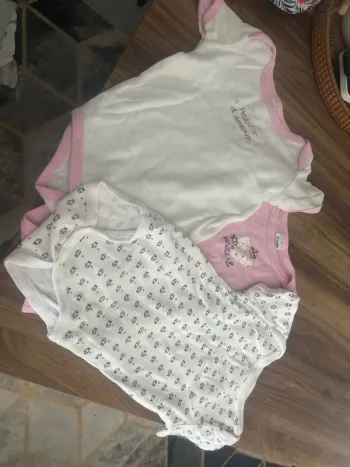 Lot 3 bodies manche courte 18 mois