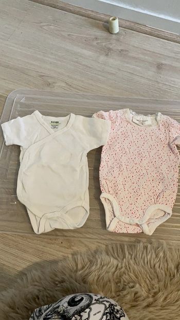 Lot de 2 bodys bébé fille taille 1 mois