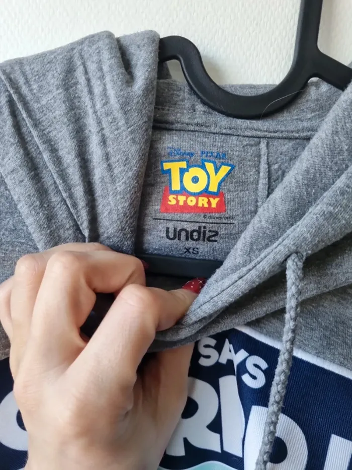 sweat a capuche gris toy story undiz - photo numéro 4