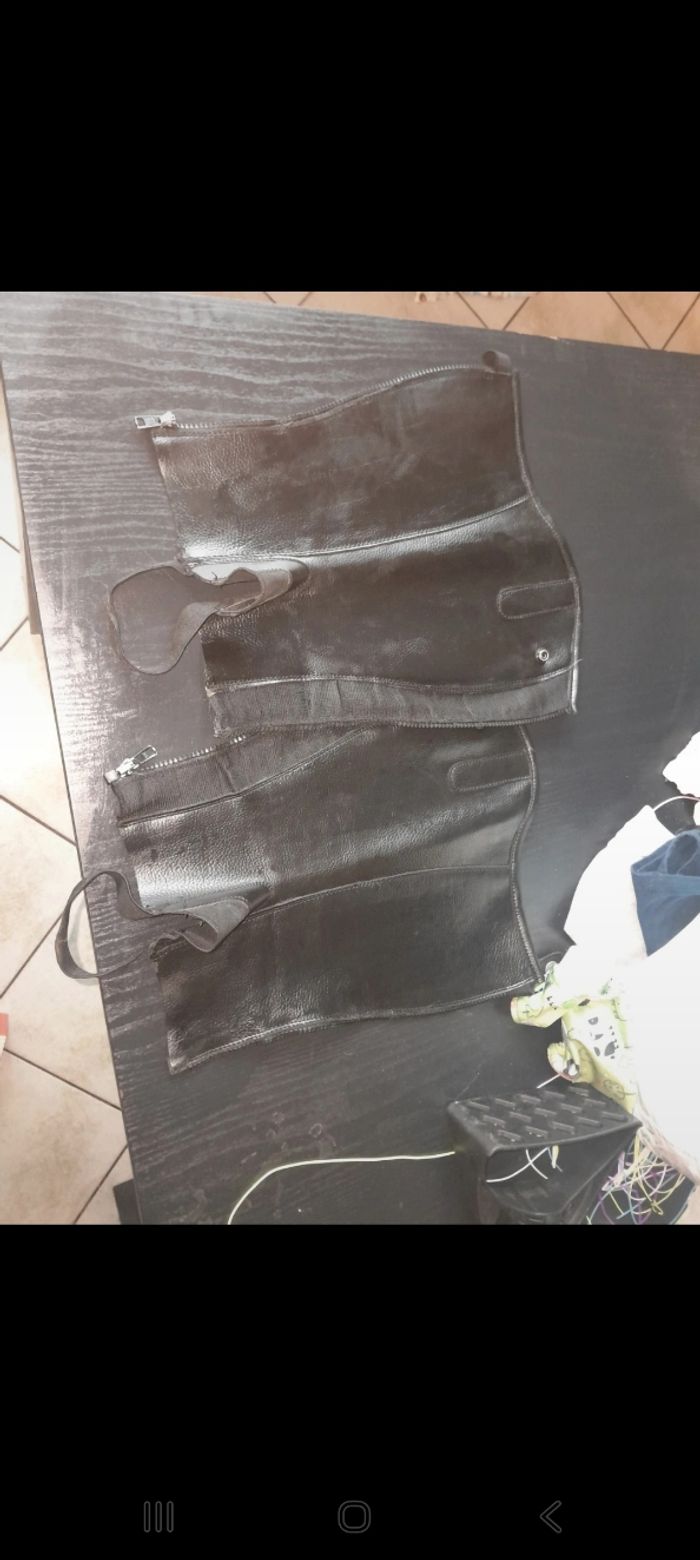 Chaps équitation  steeds - photo numéro 3