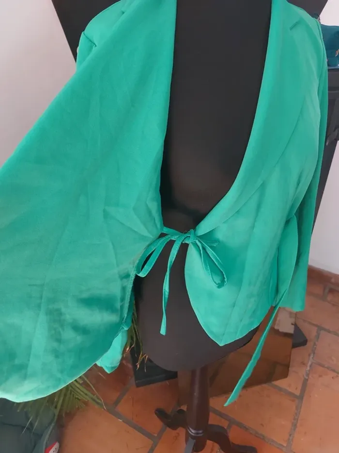 Blazer - photo numéro 5