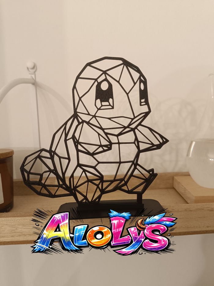 décoration carapuce