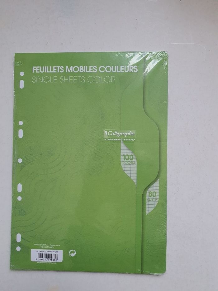 100 feuilles simples vertes A4 grands carreaux