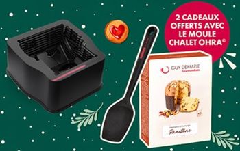 Moule chalet guy demarle