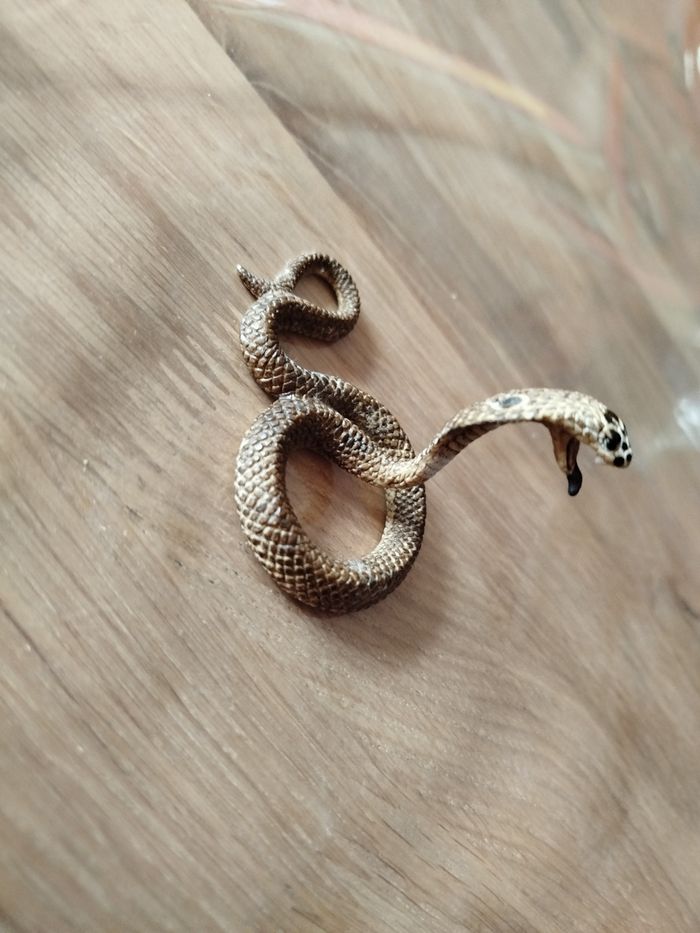 Cobra - photo numéro 6