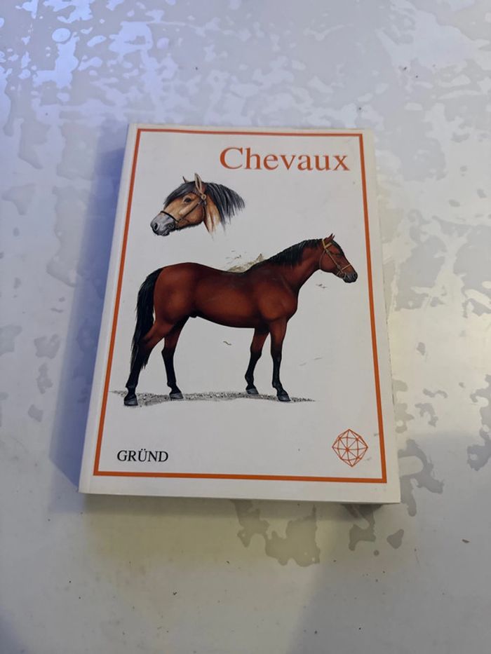 Livre chevaux