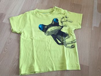 Teeshirt manches courtes vert 6 mois grain de blé