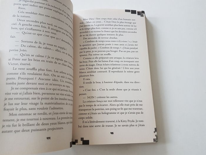 Livre Minecraft Herobrine La Légende Pac et Mike - photo numéro 3