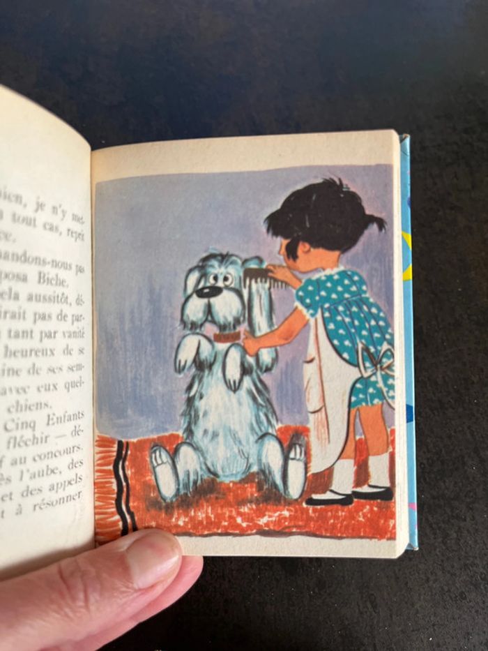 Édition des deux coqs d’or Contes livres anciens 1965 - photo numéro 12