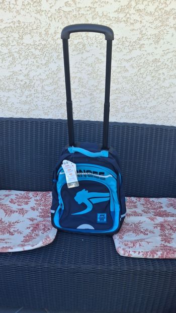 Cartable a roulettes airness garçon 