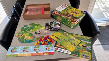 Jeu défis nature dinosaures  