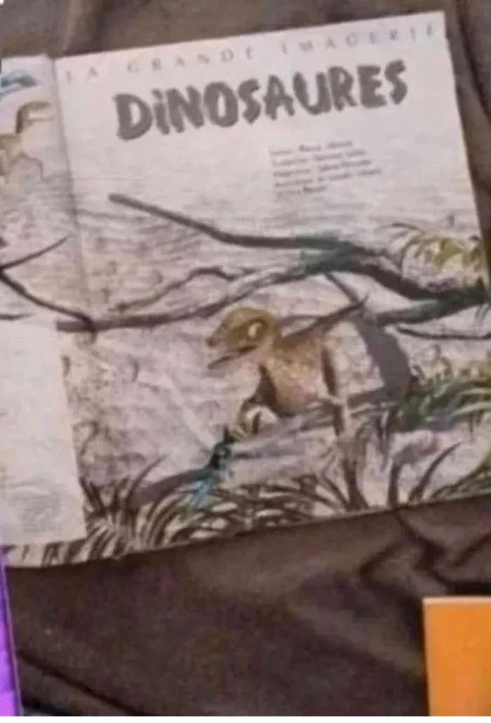 Livre La Grande imagerie dinosaures très bon état - photo numéro 6