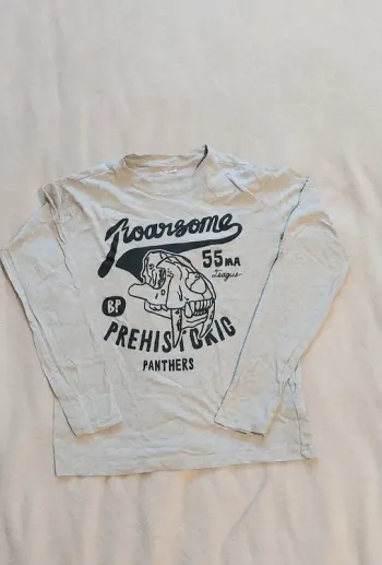 Tee shirt taille 11/12 ans