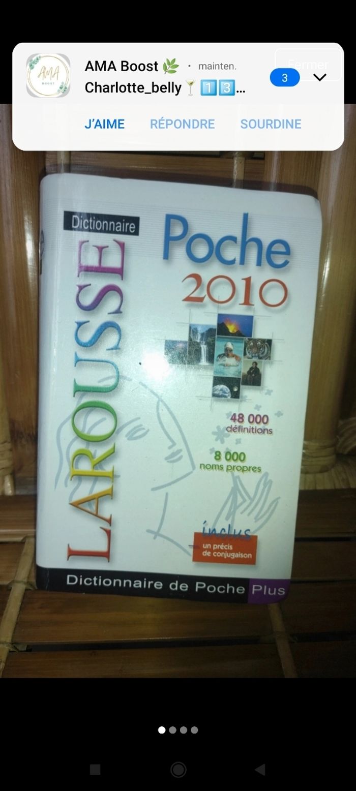 Dictionnaire Larousse