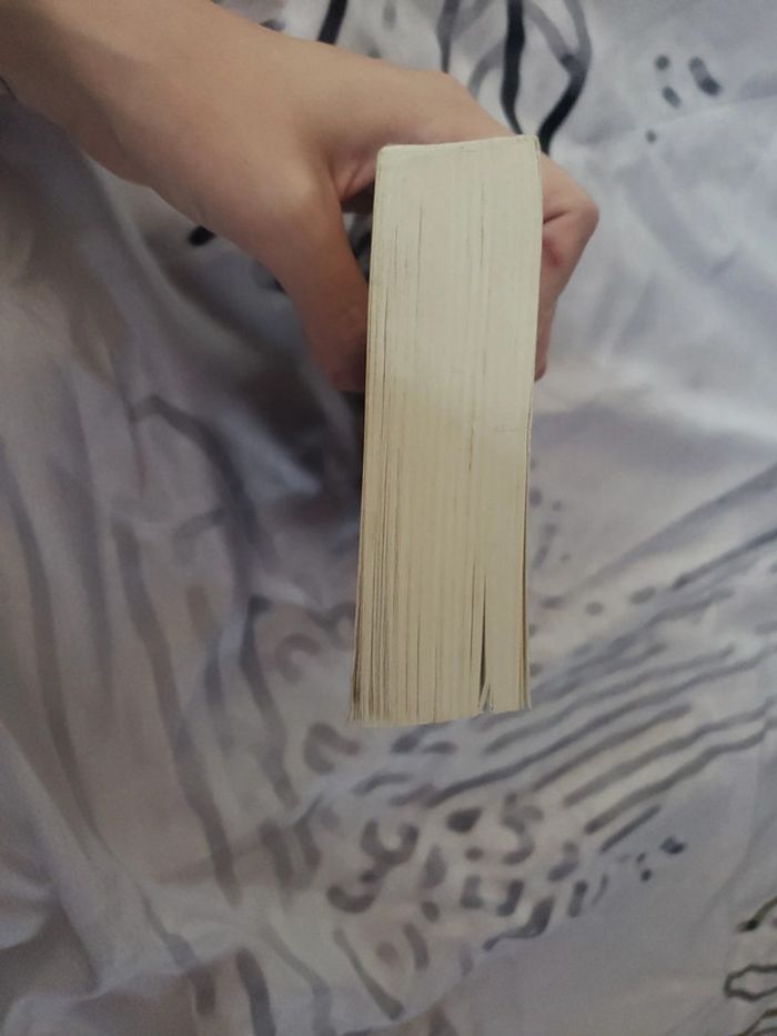 Livre Le peuple des Rennes - photo numéro 4