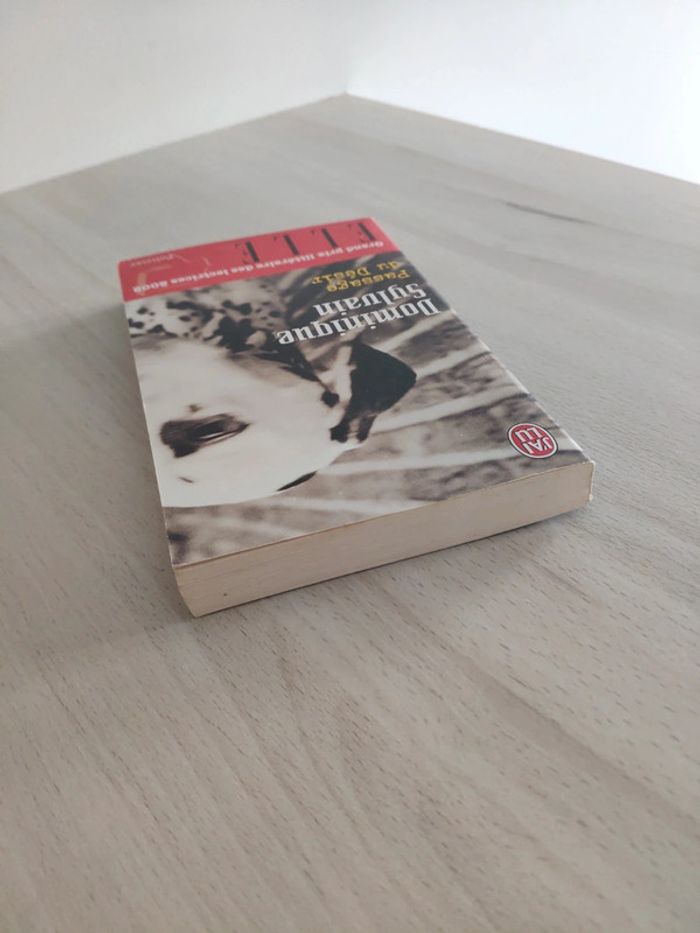 Livre poche Passage du désir Dominique Sylvain policier - photo numéro 4