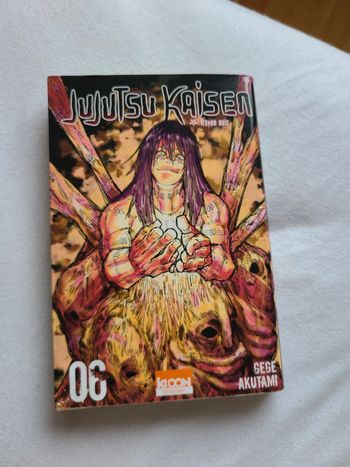 Jujutsu kaisen 06