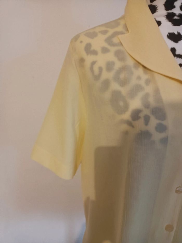 Chemisier - photo numéro 2