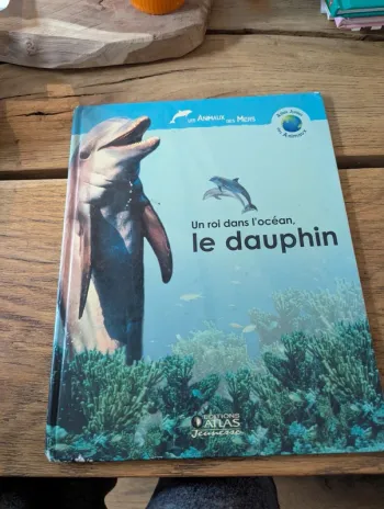 Un roi dans l'océan le dauphin