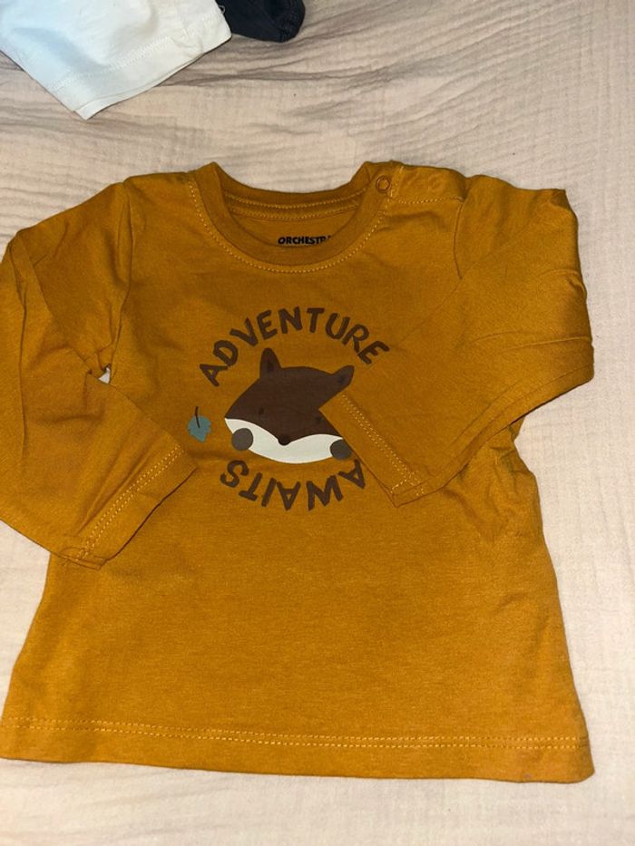 Lot t-shirts manches longues - photo numéro 7