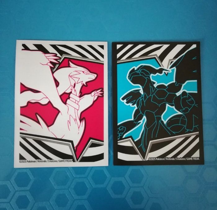 Lot de 2  sleeves pokemon