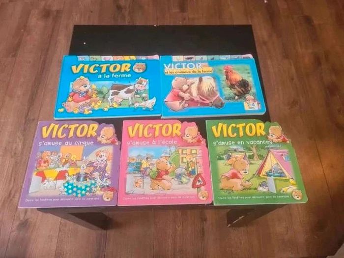 Lot livre victor