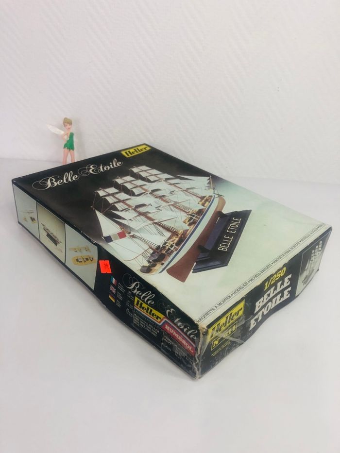 Belle étoile Heller - photo numéro 8