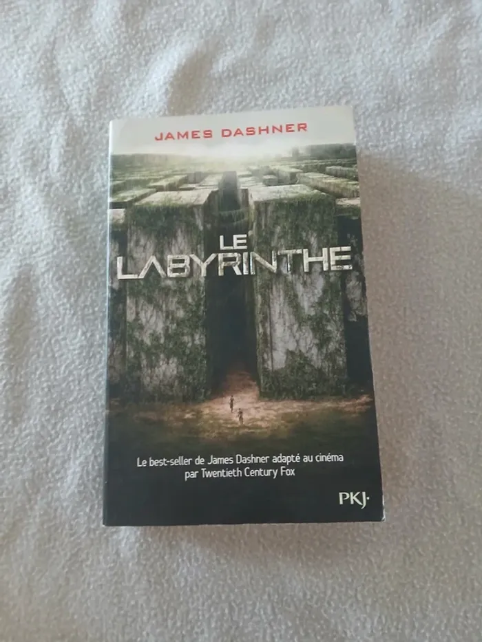 Le labyrinthe