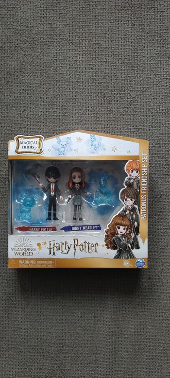 Pack de l'amitié Harry Potter wizarding World neuf sous blister