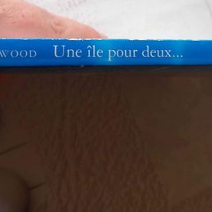 Une île pour deux de Sara Wood - photo numéro 2