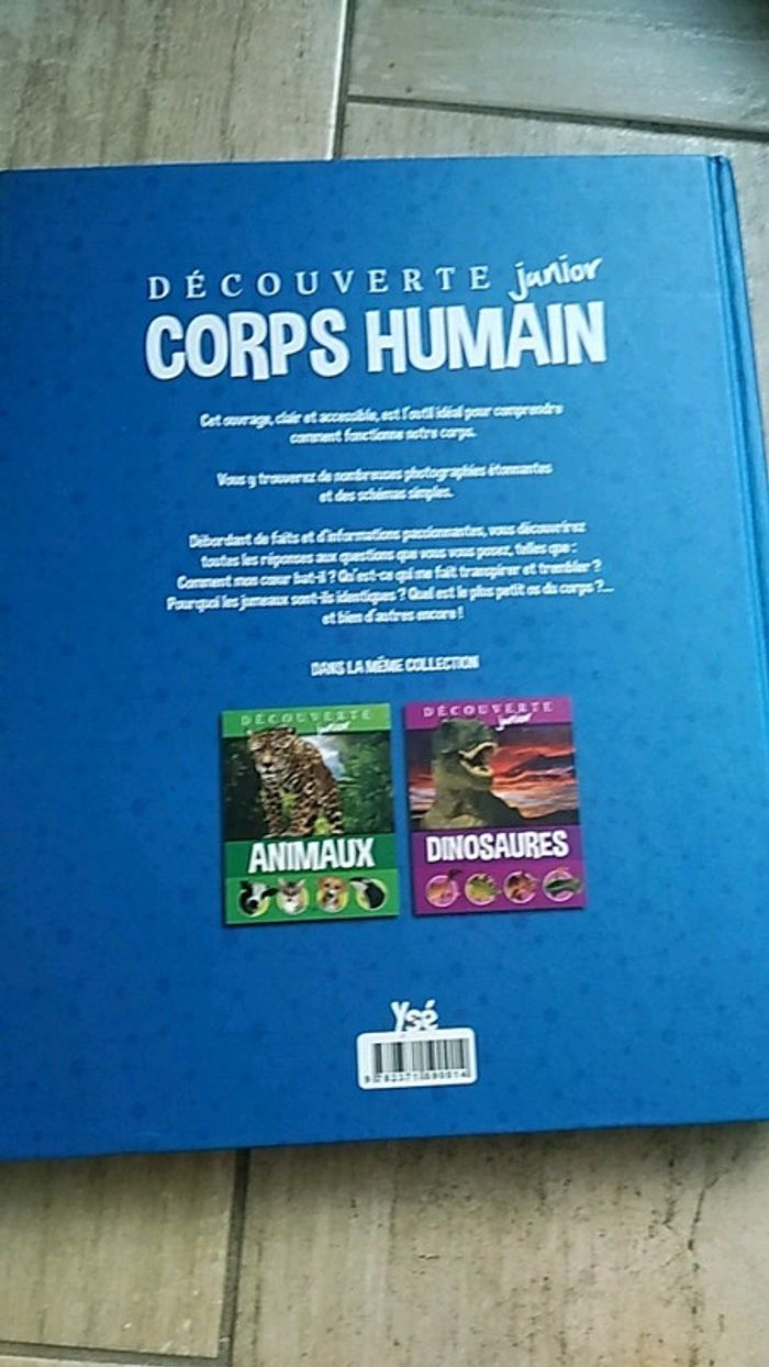 Corps humain - photo numéro 2