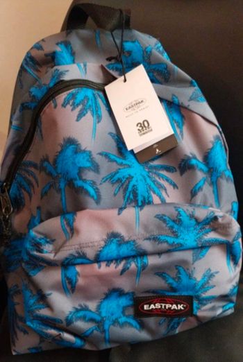 Sac Eastpak bleu à motifs ,neuf