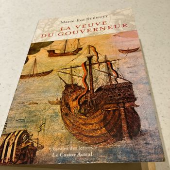 Roman la veuve du gouverneur