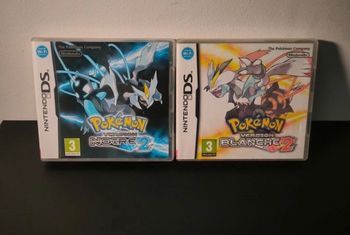 Pokemon DS