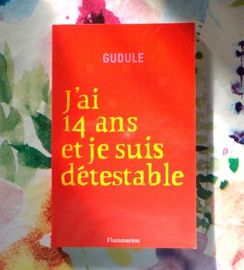 J AI 14 ANS ET JE SUIS DETESTABLE de GUDULE Ed. Flammarion