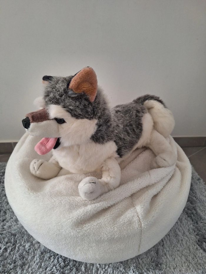 Grande peluche chien husky - photo numéro 2