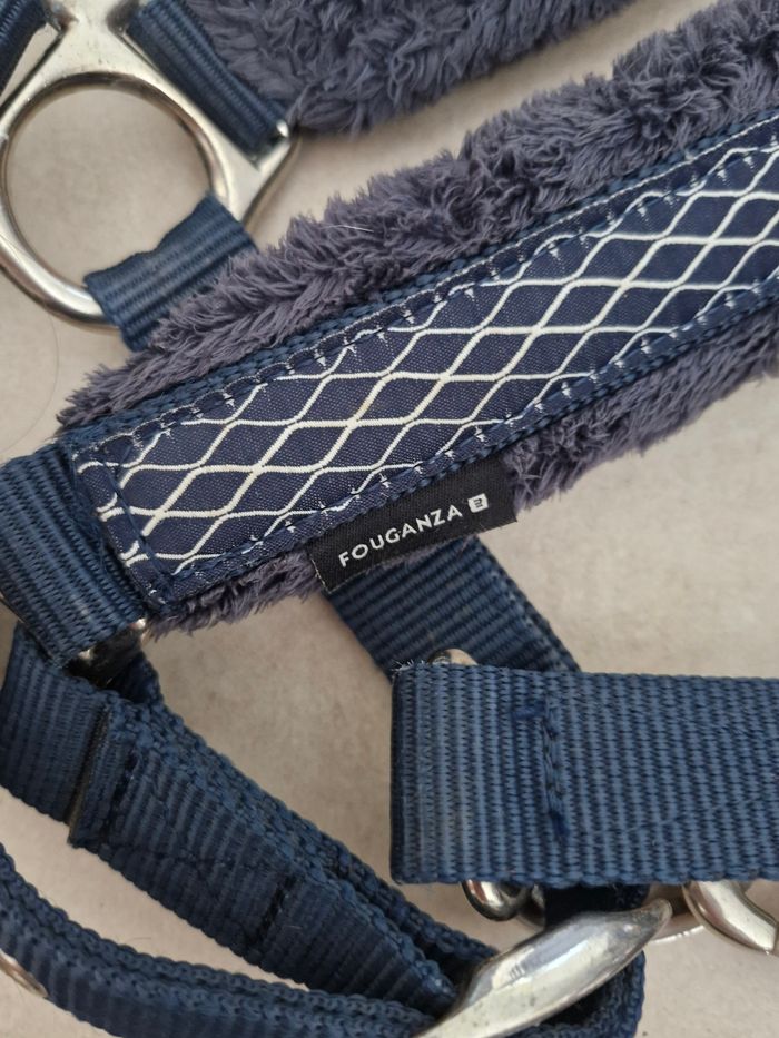 Licol cheval + longe fonganza
Bleu - photo numéro 3