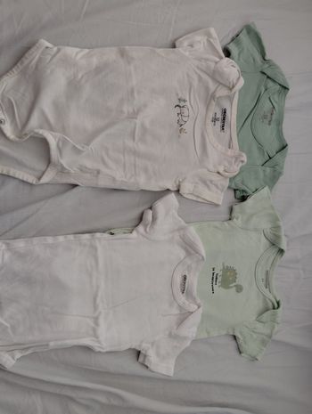 Lot de bodies manches courtes 12mois