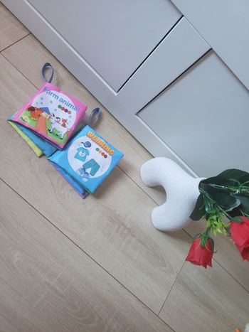 Lot de 2 minis livres 🎀 3€