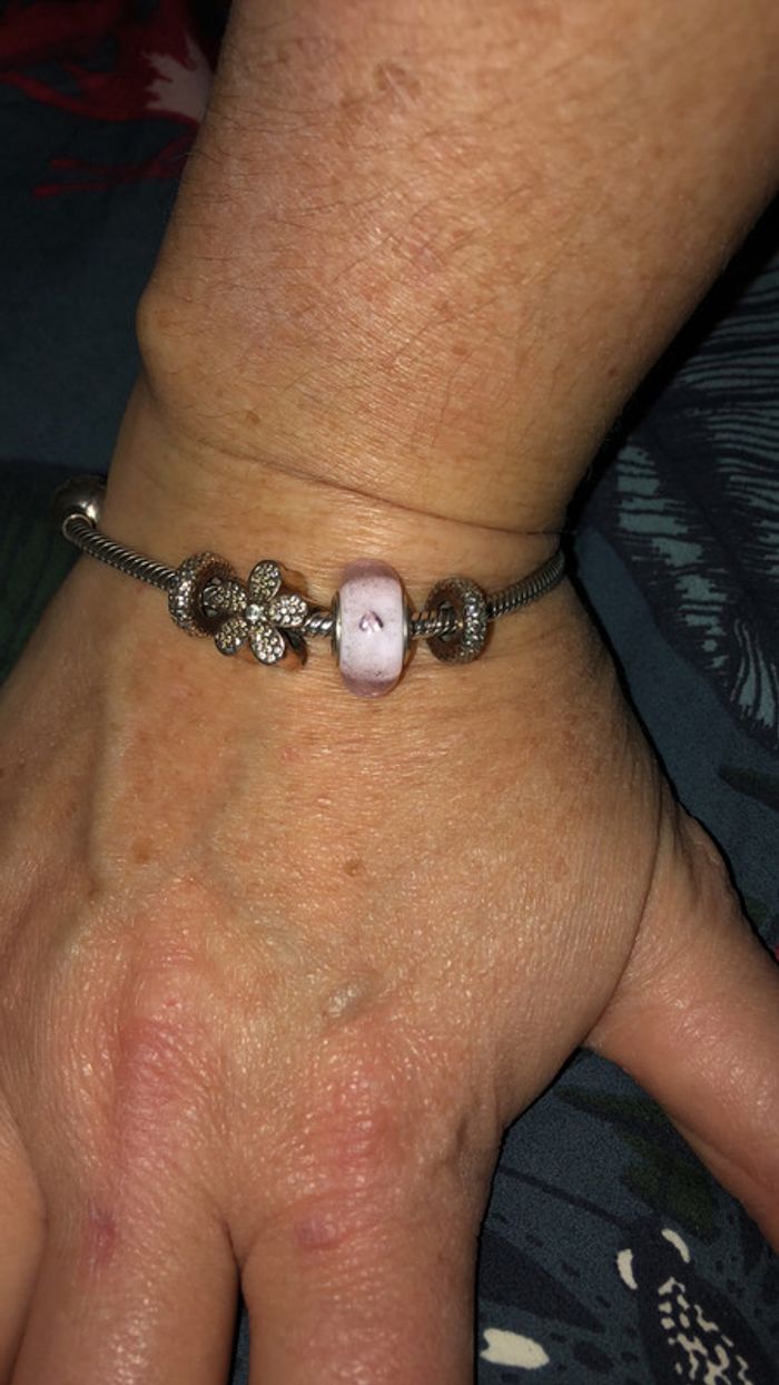 Charms pandora - photo numéro 2