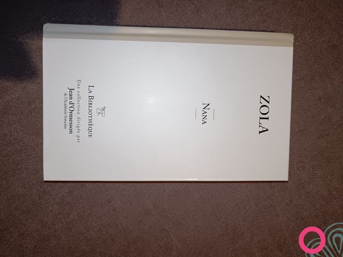 Lot de romans - photo numéro 7