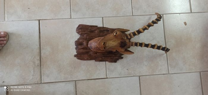 Decoration bouquetin