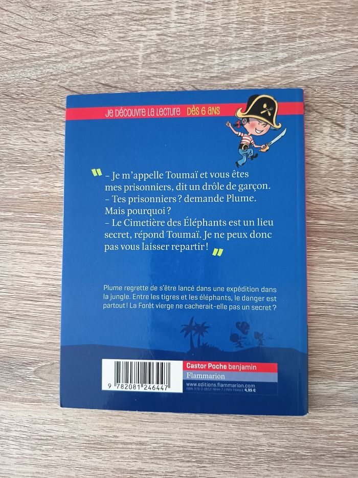 Livre roman enfant CP-CE1, Plume le pirate, Le royaume des éléphants, Castor Poche - photo numéro 3