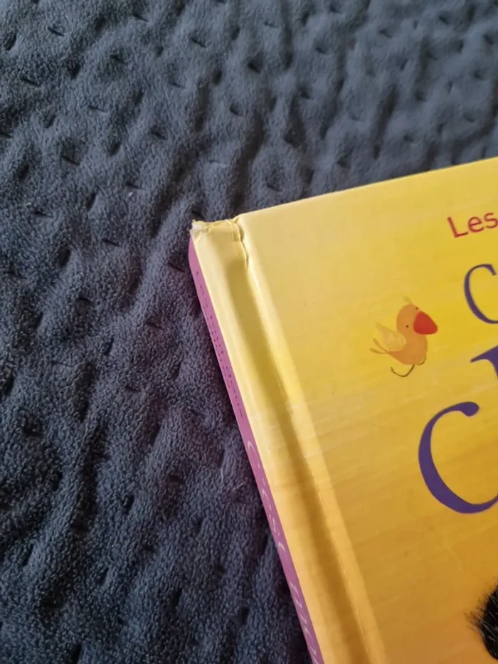 Livre sonore "c est mon chaton" - photo numéro 12