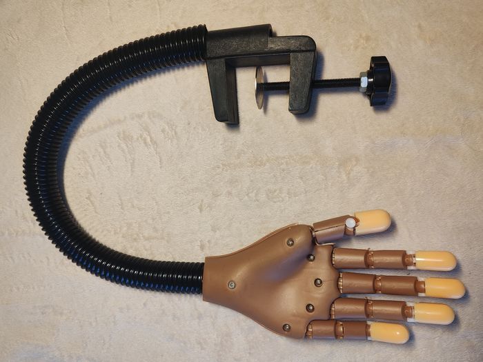 Main d'entraînement articulé - photo numéro 4