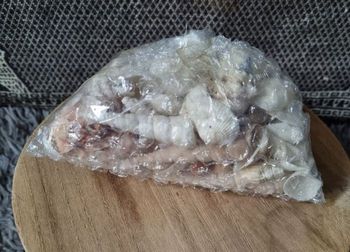 Lot coquillages naturel décoratif